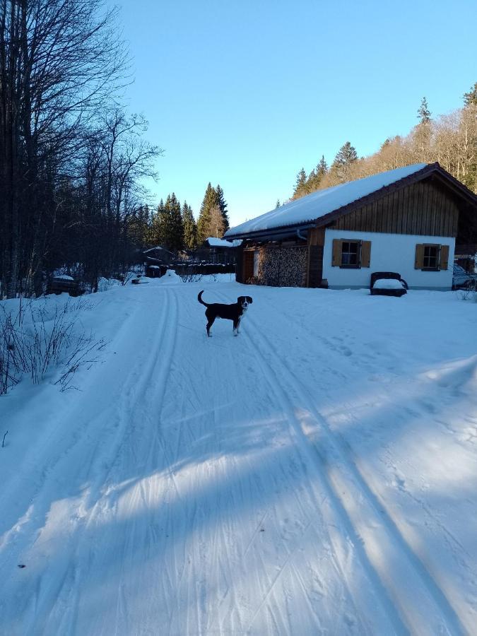Huettenzauber Ferienwohnung Mitten Im Nationalpark Lindberg Exterior photo